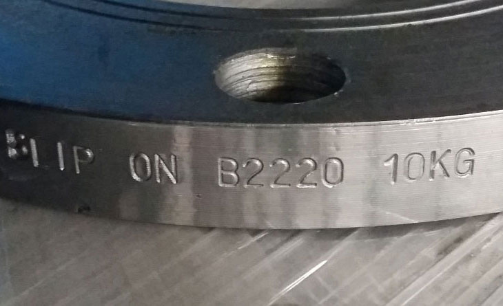 Japanese Flange Application Standard (JIS)